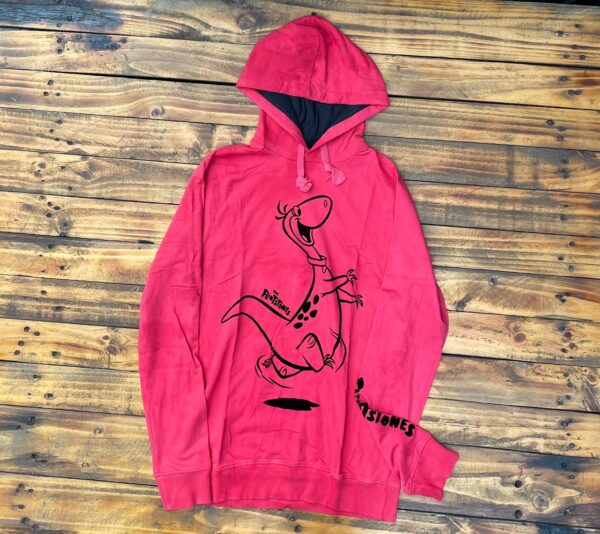 Dinosaur Back Print Hoodies